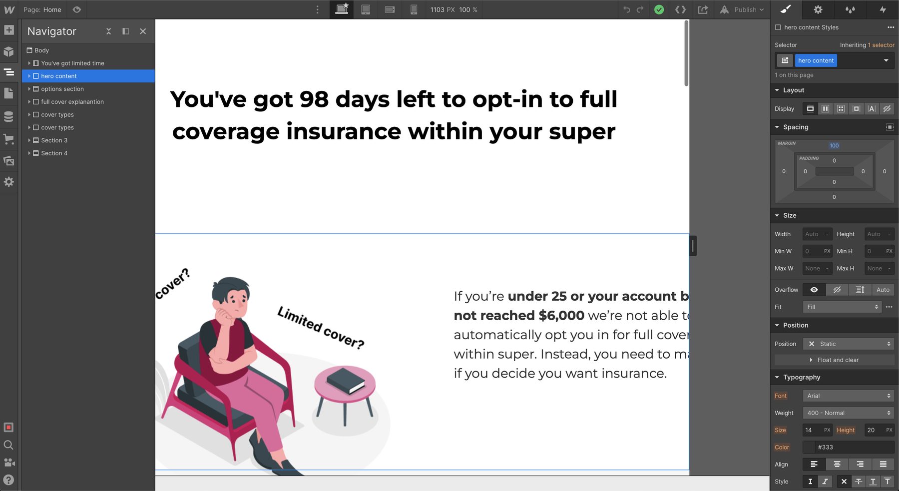 Webflow campaign
